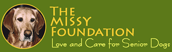 The Missy Foundation